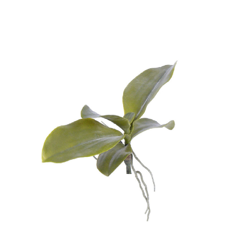 HOJA DE ORQUIDEA 35 CM