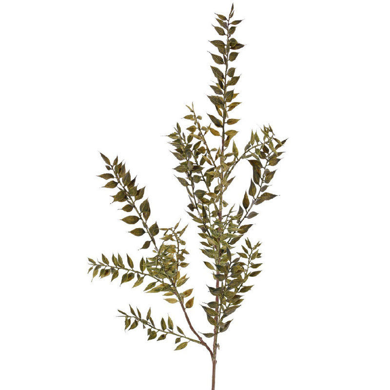 RAMA RUSCUS VERDE 95CM