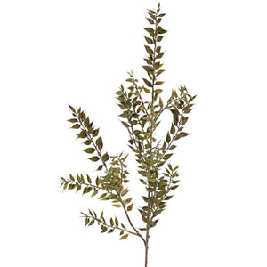 RAMA RUSCUS VERDE 95CM