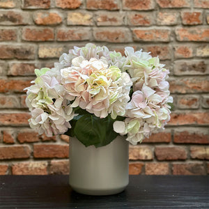 HORTENSIA BLANCA CON ROSADO 60 CM