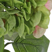 HORTENSIA VERDE CON ROSADO 60 CM
