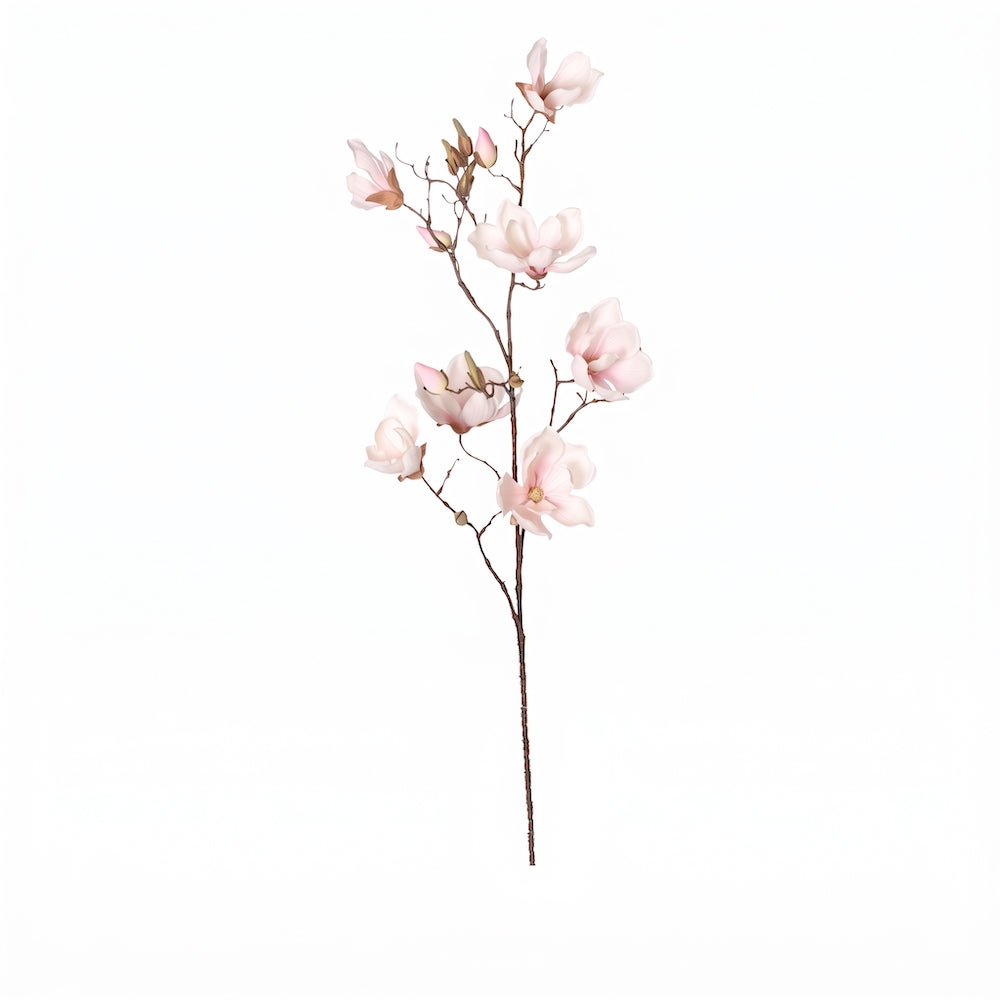 MAGNOLIA SOULANGEANA ROSA PALIDO 107 CM