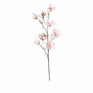 MAGNOLIA SOULANGEANA ROSA PALIDO 107 CM