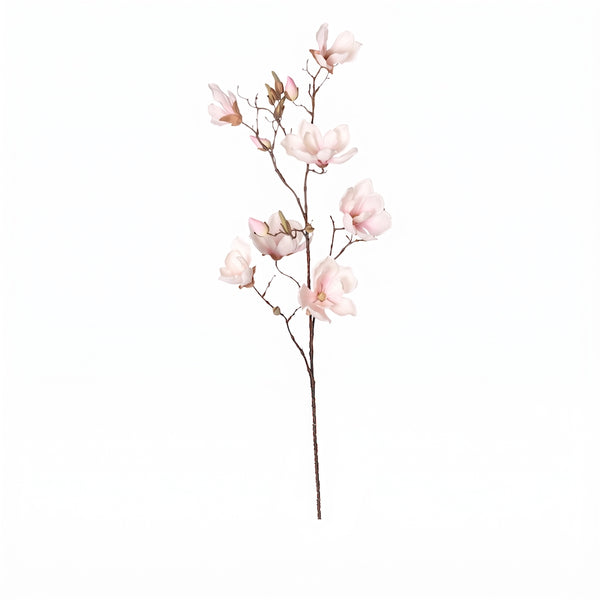 MAGNOLIA SOULANGEANA ROSA PALIDO 107 CM