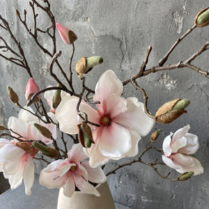 MAGNOLIA ROSADO PÁLIDO 107 CM SOULANGEANA (7 FLORES)