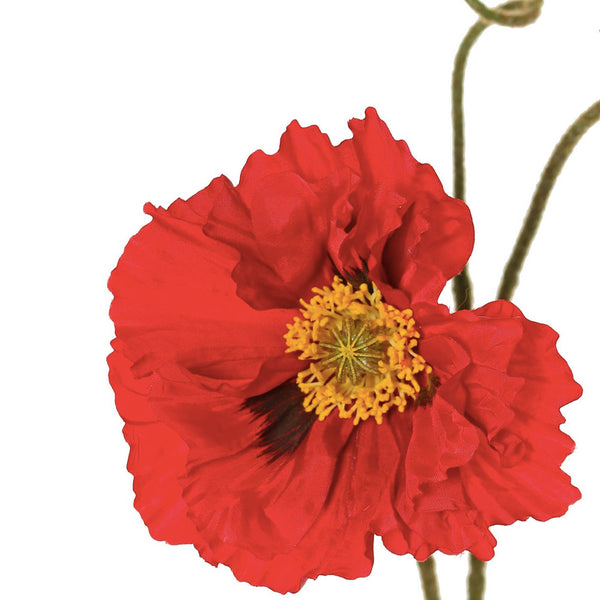 AMAPOLA ROJA XL 90CM