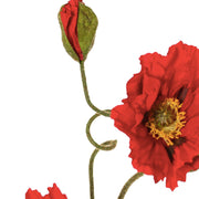 AMAPOLA ROJA XL 90CM