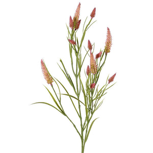 TREBOL DE HOJA ESTRECHA 80CM