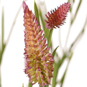 TREBOL DE HOJA ESTRECHA 80CM