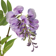 FLOR DE LA PLUMA LILA 105 CM