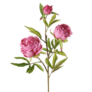 PEONÍA MAGENTA 73 CM