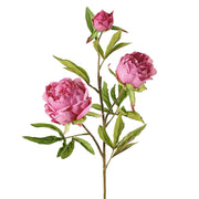 PEONÍA MAGENTA 73 CM