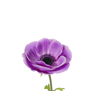 ANEMONA VIOLETA L 43 CM
