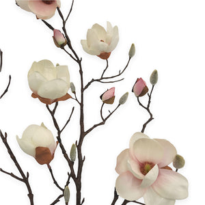 MAGNOLIA SOULANGEANA ROSA PALIDO 107 CM