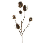 RAMA CARDO CAFÉ 64CM