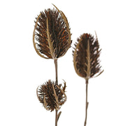 RAMA CARDO CAFÉ 64CM