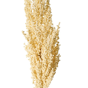 VARA MAIZ CREMA 80CM