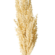 VARA MAIZ CREMA 80CM