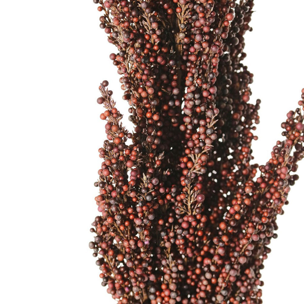 VARA MAIZ CAFÉ 80CM