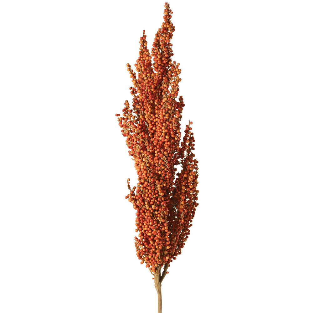 VARA MAIZ NARANJO 80CM
