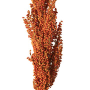 VARA MAIZ NARANJO 80CM