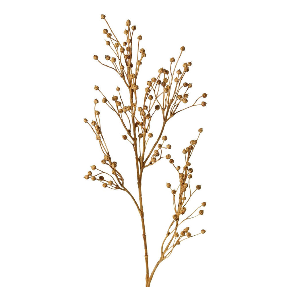 RAMA LINAZA CAFÉ 66CM