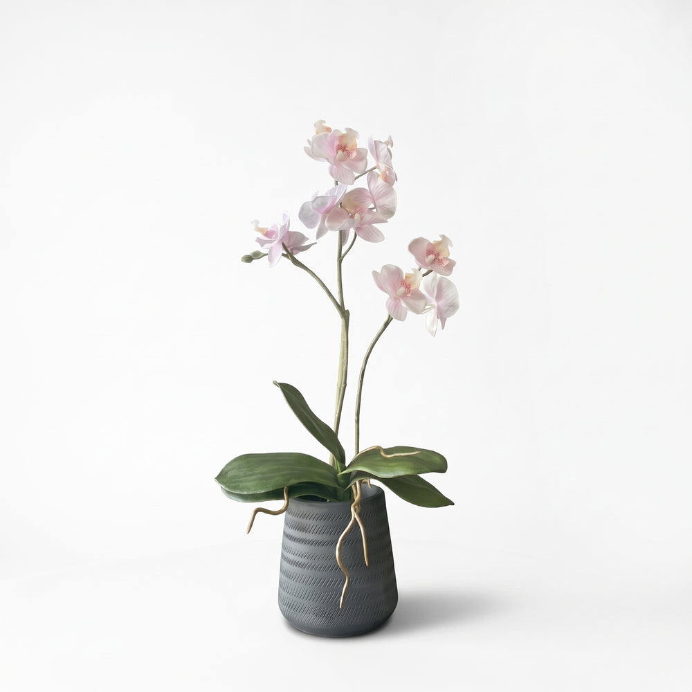 ORQUÍDEA MINI ROSADA 3 VARAS 63 CM