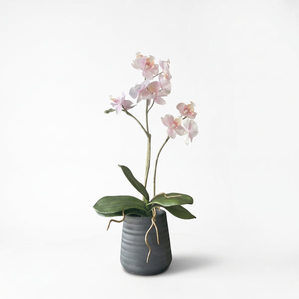 ORQUÍDEA MINI ROSADA 3 VARAS 63 CM