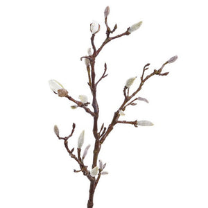 RAMA DE MAGNOLIO 71CM (19 BROTES)