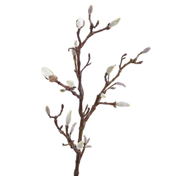 RAMA DE MAGNOLIO 71CM (19 BROTES)