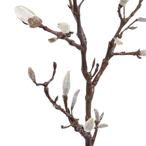 RAMA DE MAGNOLIO 71CM (19 BROTES)