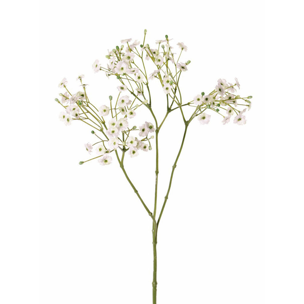 GIPSOFILIA BLANCA 65 CM