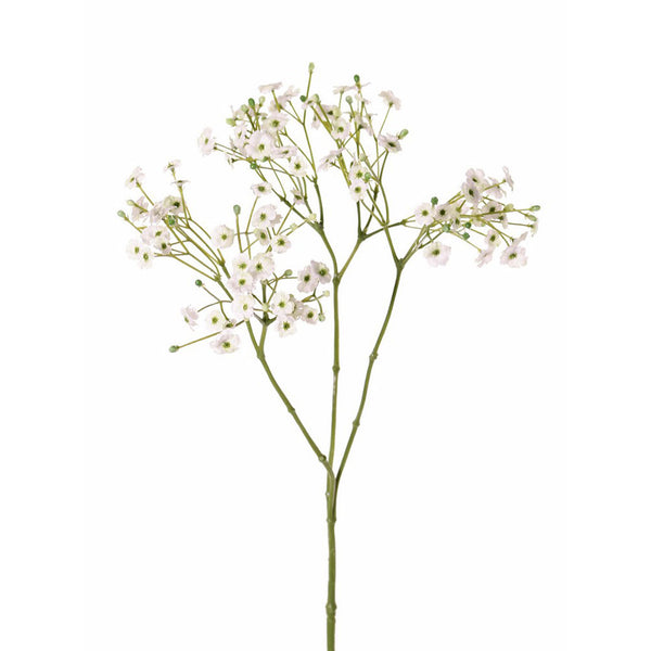 GIPSOFILIA BLANCA 65 CM