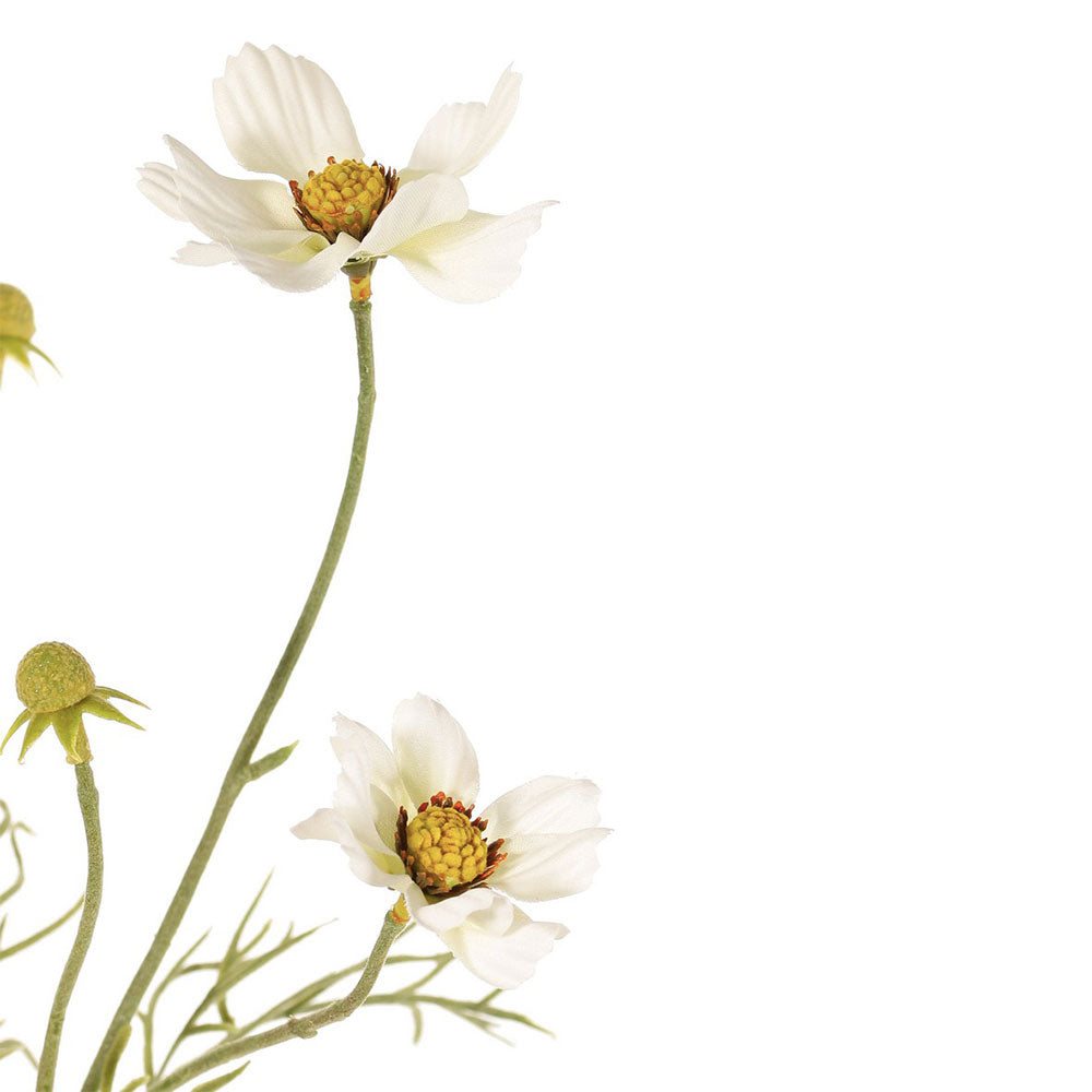 MIRASOL BLANCO 72 CM