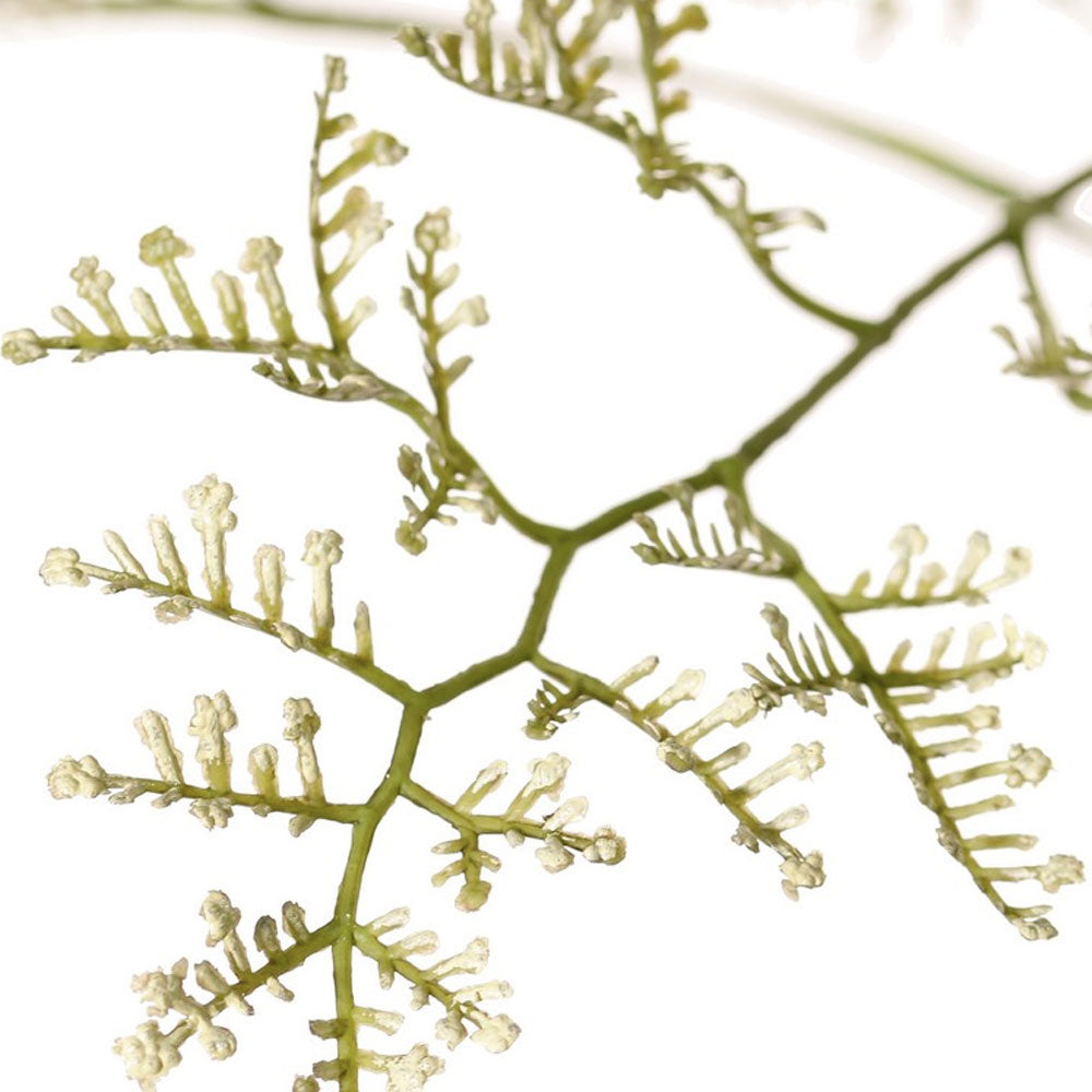 RAMA DE LIMONIUM VERDE/CREMA 100 CM