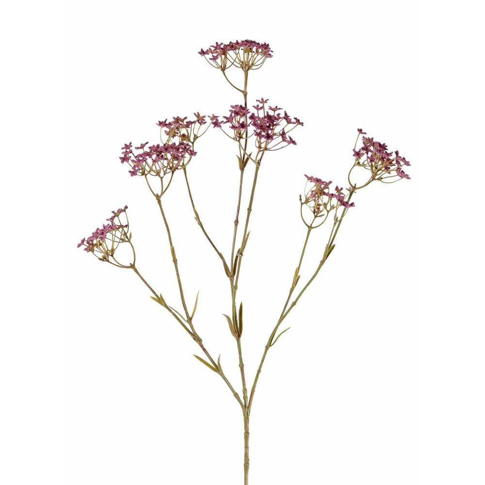 GIPSOFILIA MORADA 70 CM