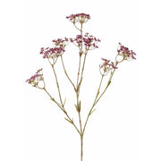 GIPSOFILIA MORADA 70 CM