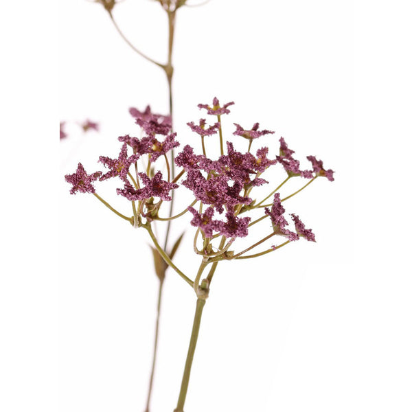 GIPSOFILIA MORADA 70 CM