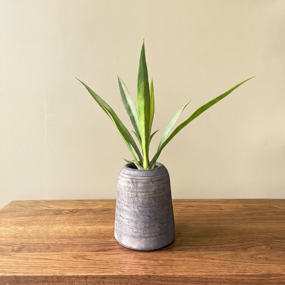 HOJA DE ORQUIDEA LARGA 39 CM