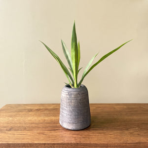 HOJA DE ORQUIDEA LARGA 39 CM