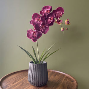 HOJA DE ORQUIDEA LARGA 39 CM