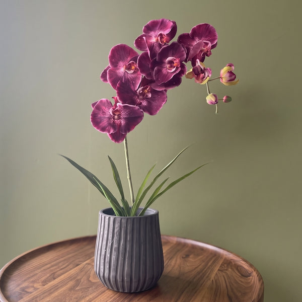 HOJA DE ORQUIDEA LARGA 39 CM