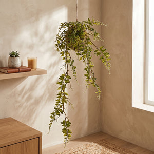 KOKEDAMA HELECHO 60 CM