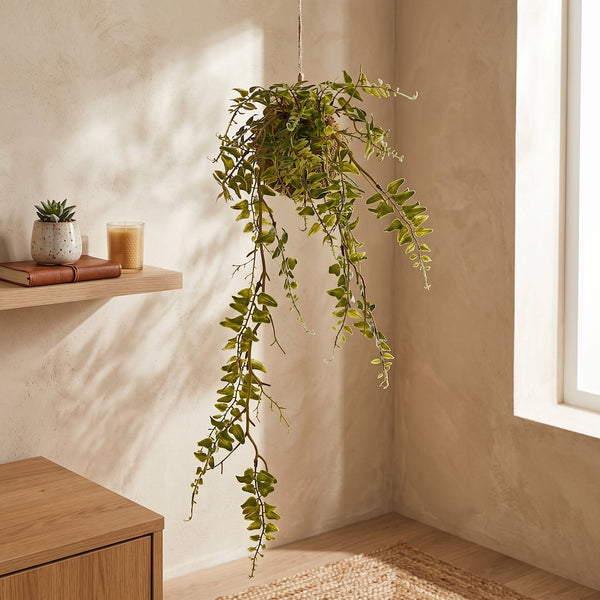KOKEDAMA HELECHO 60 CM