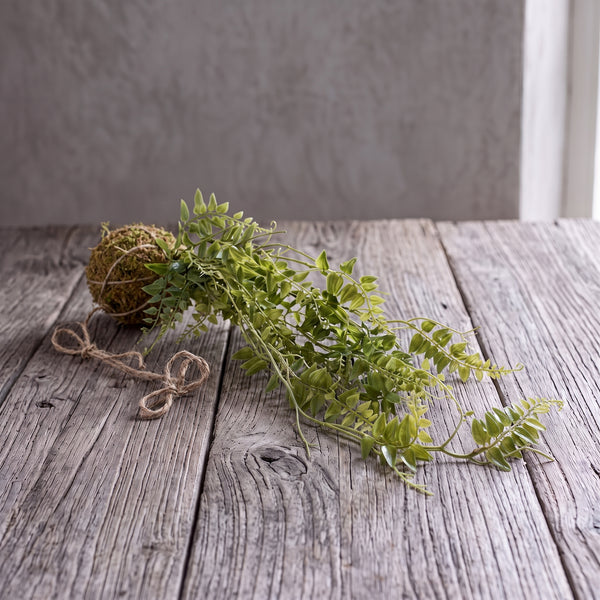 KOKEDAMA HELECHO 60 CM