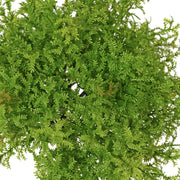 RAMA HELECHO MUSGO 23 CM