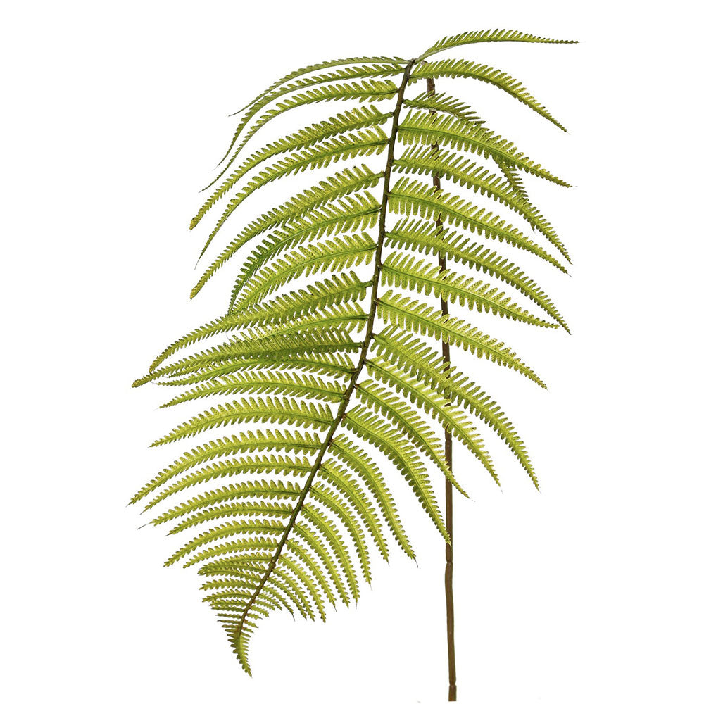 HOJA DE HELECHO 109 CM