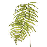 HOJA DE HELECHO 109 CM