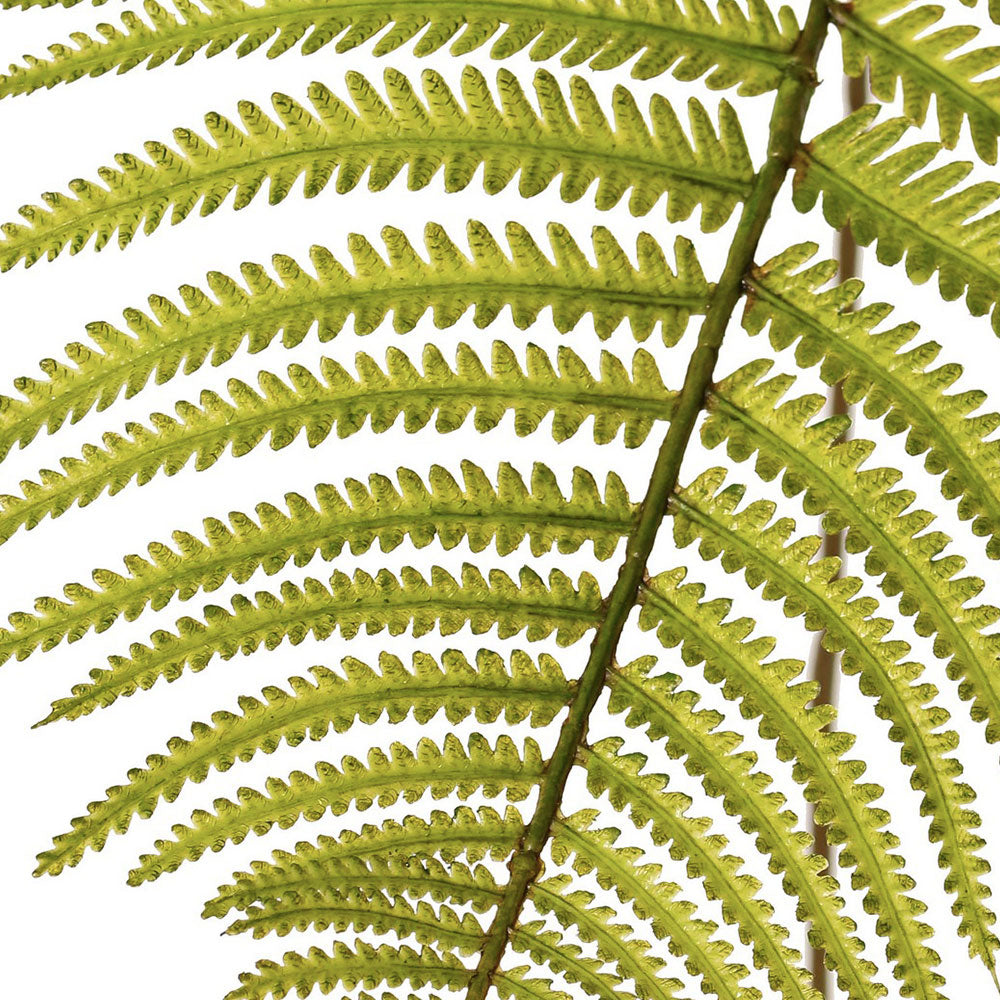 HOJA DE HELECHO 109 CM