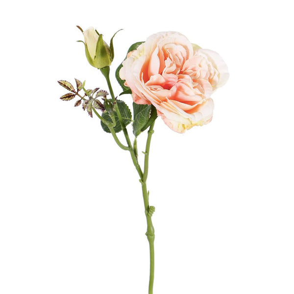 ROSA DAMASCO 38 CM